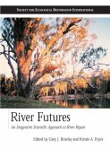 River Futures (eBook, ePUB)