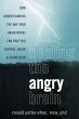 Healing the Angry Brain (eBook, ePUB) - Bild 1