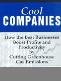 Cool Companies (eBook, ePUB)