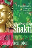 Awakening Shakti (eBook, ePUB)