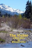 Visitor (eBook, ePUB)