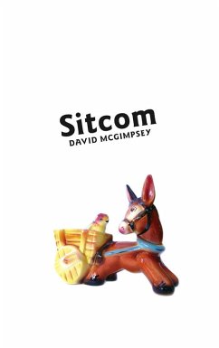 Cover Sitcom (eBook, ePUB)