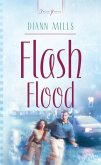Flash Flood (eBook, ePUB)