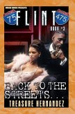 Flint Book 3: (eBook, ePUB)