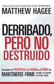 Derribado, pero no destruido (eBook, ePUB)