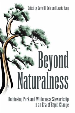Beyond Naturalness (eBook, ePUB) - Cole, David N.