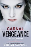 Carnal Vengeance (Lust and Lies Series, Book 4) (eBook, ePUB)