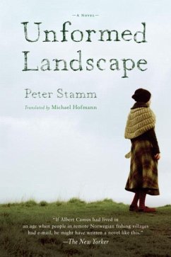 Unformed Landscape (eBook, ePUB) - Stamm, Peter