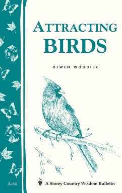 Attracting Birds (eBook, ePUB) - Woodier, Olwen