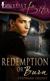 Redemption or Burn (eBook, ePUB)