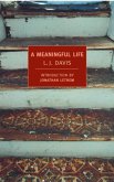 A Meaningful Life (eBook, ePUB)