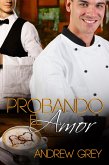 Probando el Amor (eBook, ePUB)