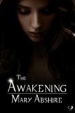 Awakening (eBook, ePUB)