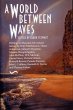 World Between Waves (eBook, ePUB) - Bild 1