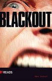 Blackout (eBook, PDF)