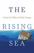 Rising Sea (eBook, ePUB) - Bild 1