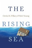Rising Sea (eBook, ePUB)