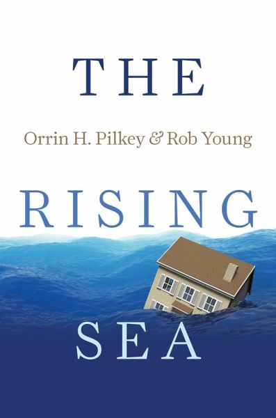 Rising Sea (eBook, ePUB)