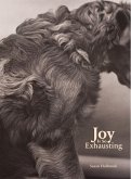 Joy Is So Exhausting (eBook, ePUB) Joy Is So Exhausting (eBook, ePUB)