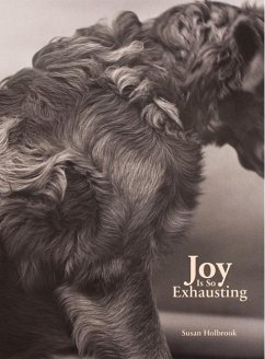 Joy Is So Exhausting (eBook, ePUB) - Holbrook, Susan