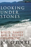 Looking Under Stones (eBook, ePUB)