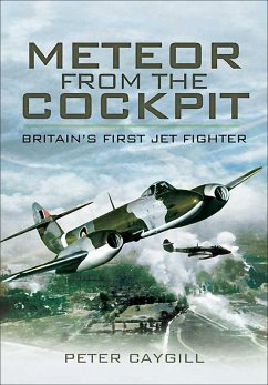 Cover Meteor from the Cockpit (eBook, ePUB)
