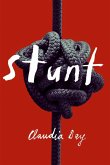 Stunt (eBook, ePUB)