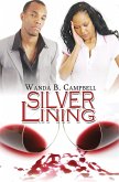 Silver Lining (eBook, ePUB)