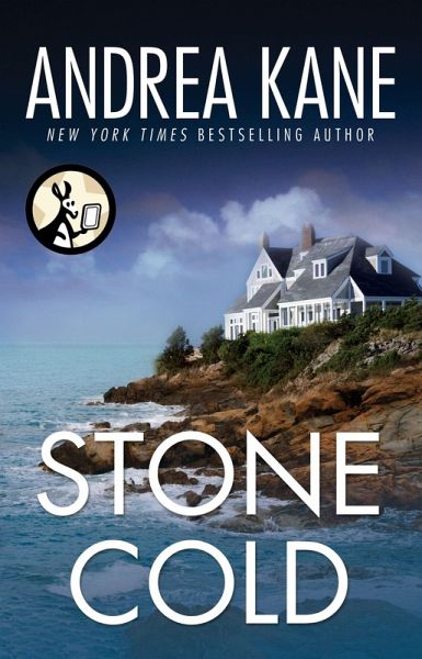 Stone Cold (eBook, ePUB)