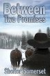 Between Two Promises (eBook, ePUB) - Bild 1