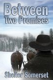 Between Two Promises (eBook, ePUB)