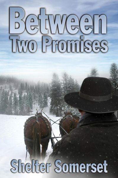 Between Two Promises (eBook, ePUB) Between Two Promises (eBook, ePUB)