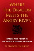 Where the Dragon Meets the Angry River (eBook, ePUB)