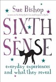 Sixth Sense (eBook, ePUB)