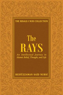 Cover Rays (eBook, ePUB)