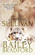 Sullivan (eBook, ePUB) - Bild 1