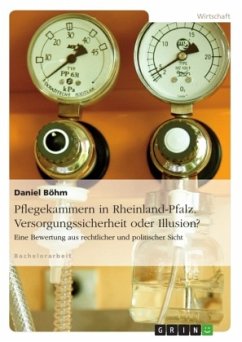 Pflegekammern in Rheinland-Pfalz. Versorgungssicherheit oder Illusion? - Böhm, Daniel