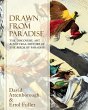 Drawn From Paradise (eBook, ePUB) - Bild 1