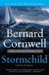 Stormchild (eBook, ePUB) - Bild 1