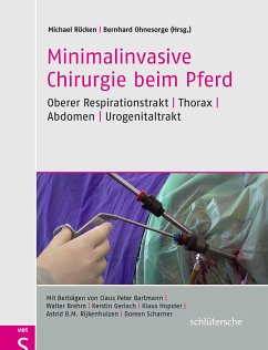 Minimalinvasive Chirurgie beim Pferd (eBook, PDF)