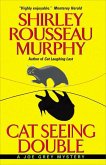 Cat Seeing Double (eBook, ePUB)