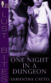 One Night in a Dungeon (eBook, ePUB)