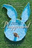 Playground (eBook, ePUB)