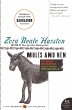Mules and Men (eBook, ePUB) - Bild 1