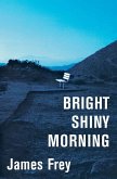 Bright Shiny Morning (eBook, ePUB)