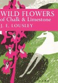 Wild Flowers of Chalk and Limestone (eBook, ePUB)