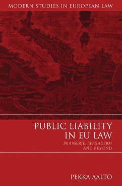 Cover Public Liability in EU Law (eBook, PDF)