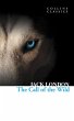 The Call of the Wild (eBook, ePUB) - Bild 1