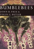 Bumblebees (eBook, ePUB) Bumblebees (eBook, ePUB)