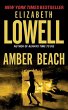 Amber Beach (eBook, ePUB) - Bild 1
